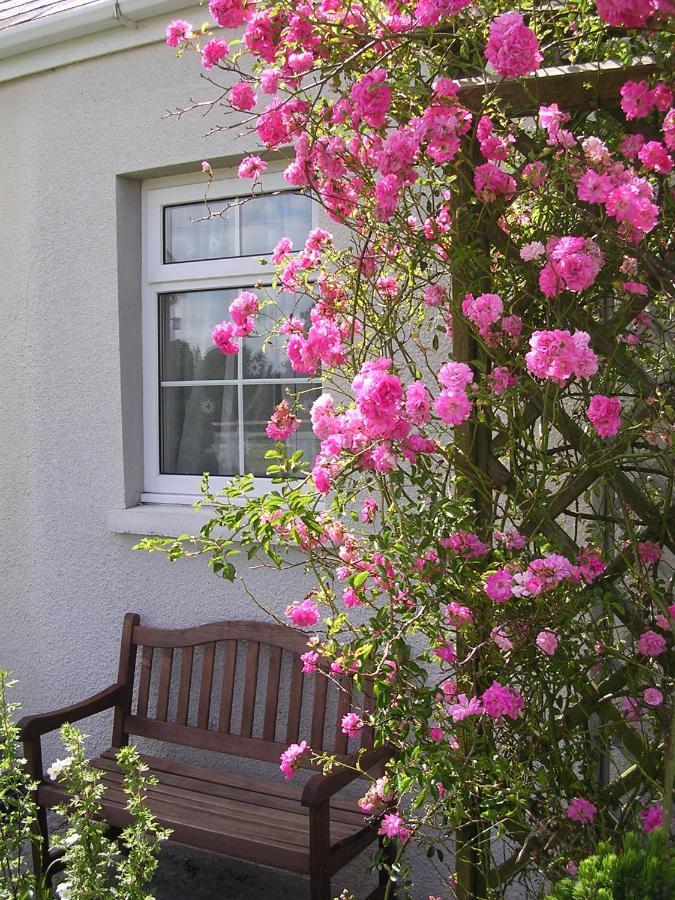 Glascoed Farmhouse Bed and Breakfast Carmarthen Esterno foto