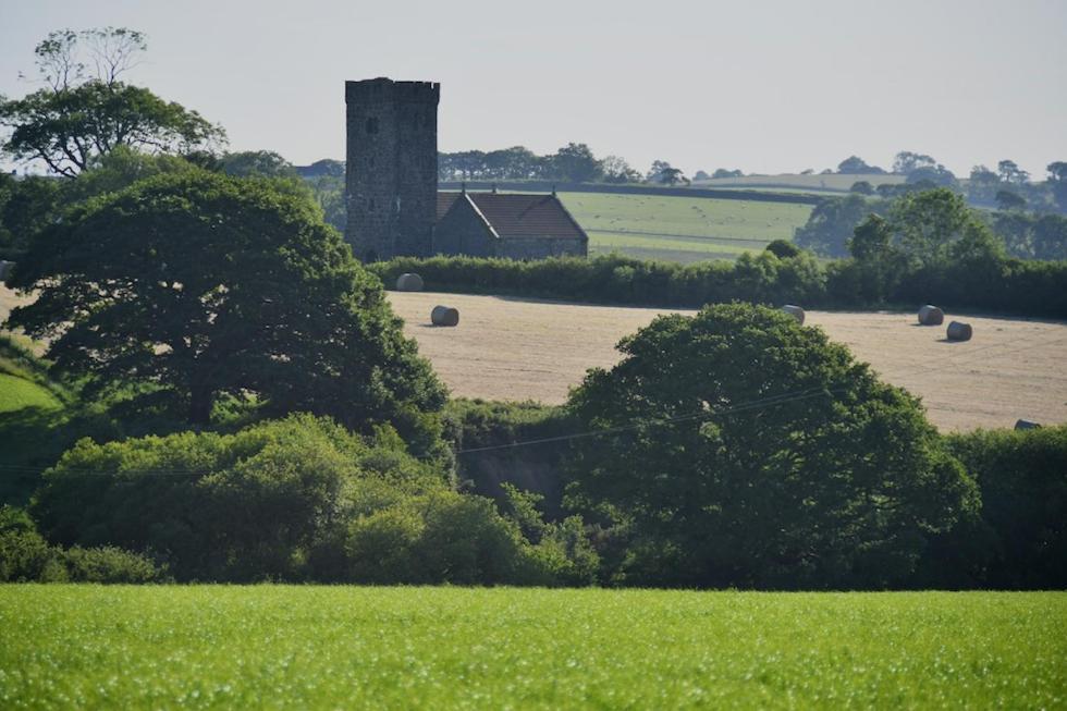 Glascoed Farmhouse Bed and Breakfast Carmarthen Esterno foto