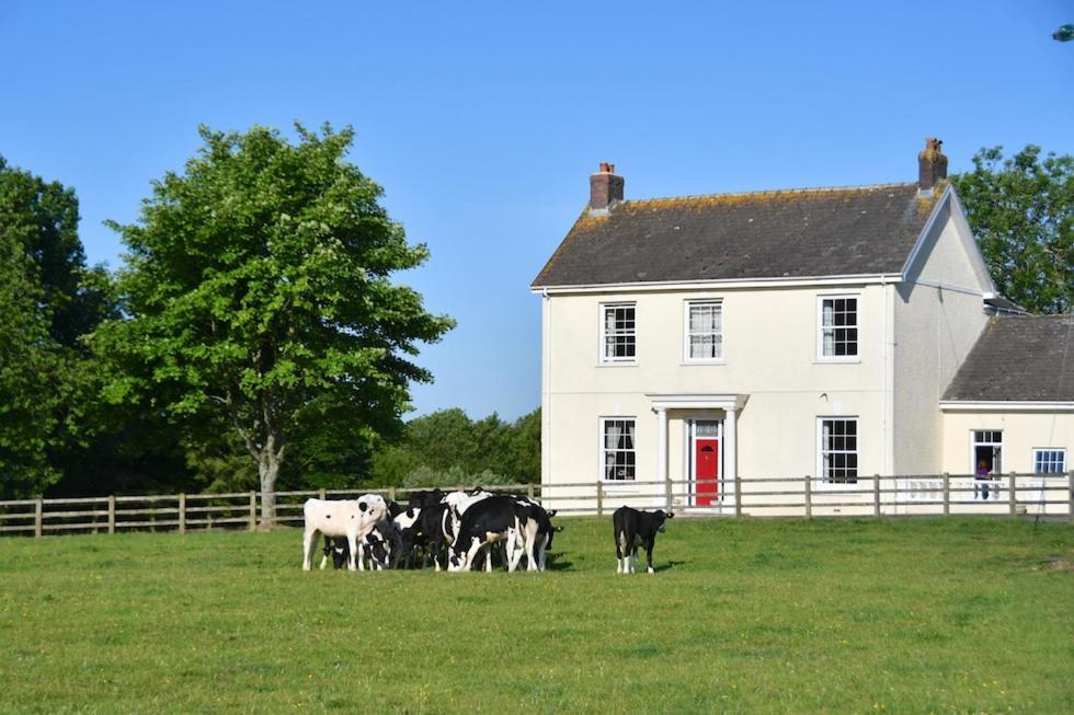 Glascoed Farmhouse Bed and Breakfast Carmarthen Esterno foto